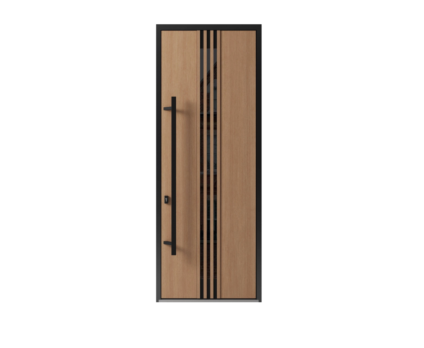295186- Single swing metal-aluminum modern exterior door with triplex glass